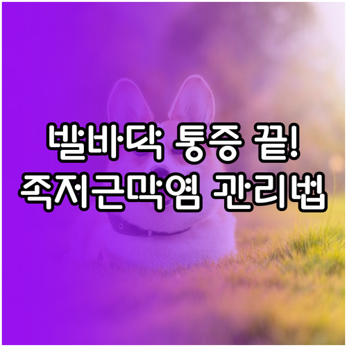 족저근막염 통증 완화와 일상 속 올바..