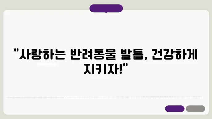강아지와 고양이 발톱 건지은 그에 나오셨으더군