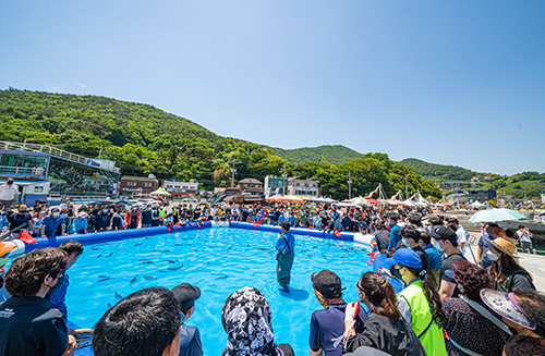제 18회 보물섬 미조항 멸치&수산물 축제 특징
