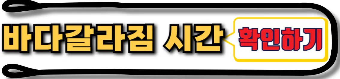바다갈라짐 시간 확인하기
