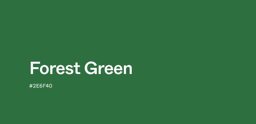 초록색(green) 계열의 색상 종류처럼 색과 아이템을 연결해 전체 착장을 정돈한 코디입니다.