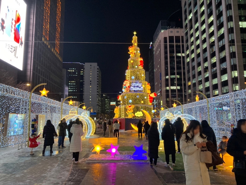 겨울, 청계천의 빛 축제2