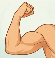 알부민 많은 음식