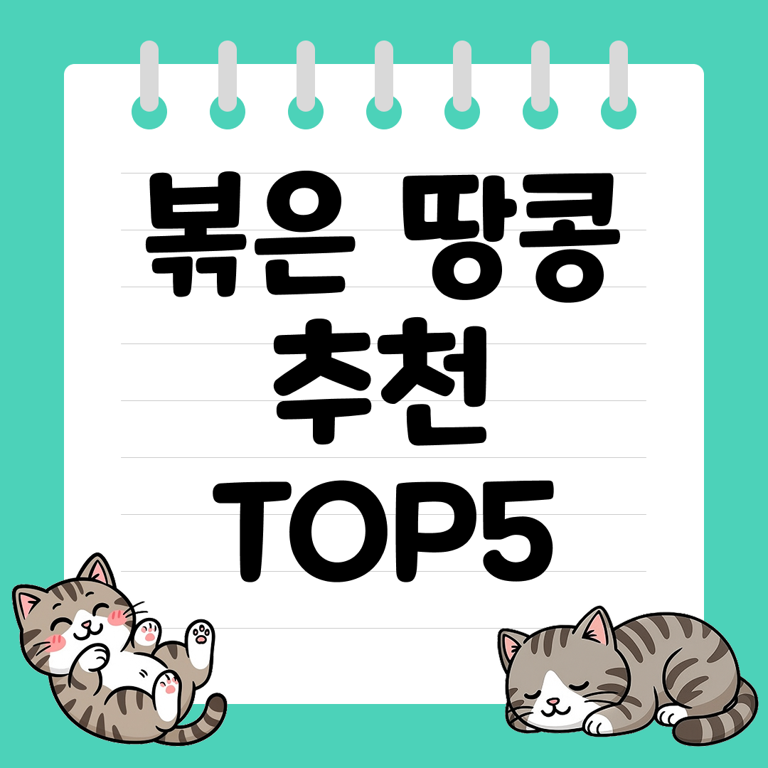 고소한 풍미가 일품인 볶은 땅콩 추천 순위 TOP5