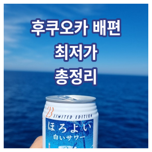 후쿠오카배편 최저가 총정리