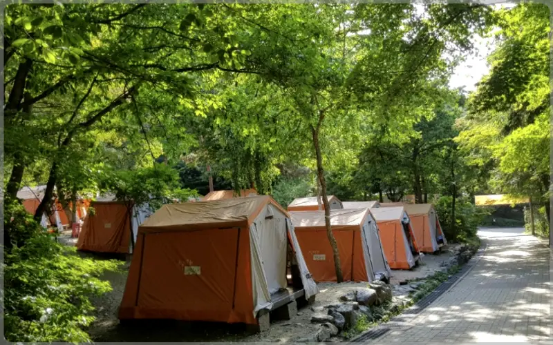 서울대공원 캠핑장 예약_1