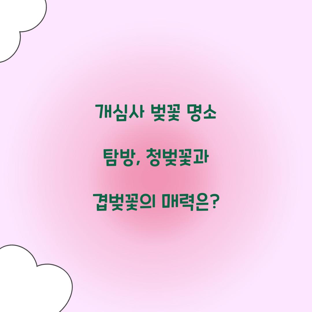 개심사 벚꽃