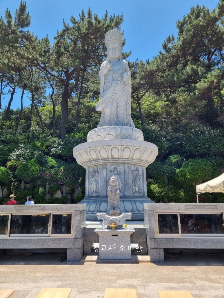 ✨부산 해동용궁사 꿀팁 총정리|108번뇌, 절밥 공양, 교통정보까지!✨