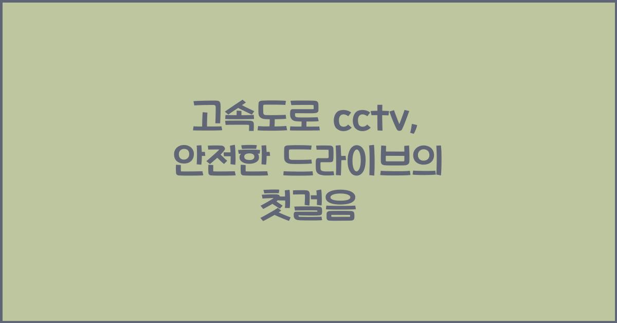 고속도로 cctv
