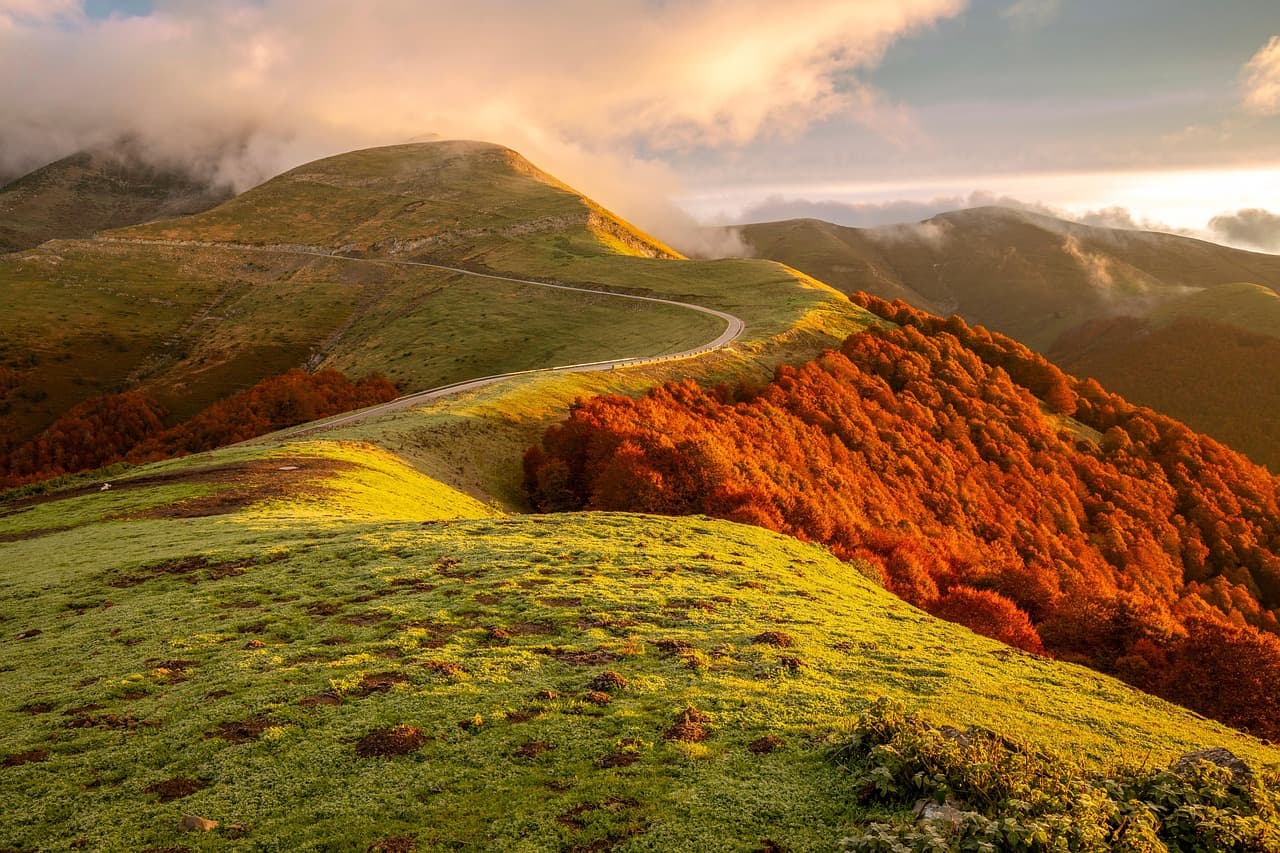 DIY 친환경 세제 만들기