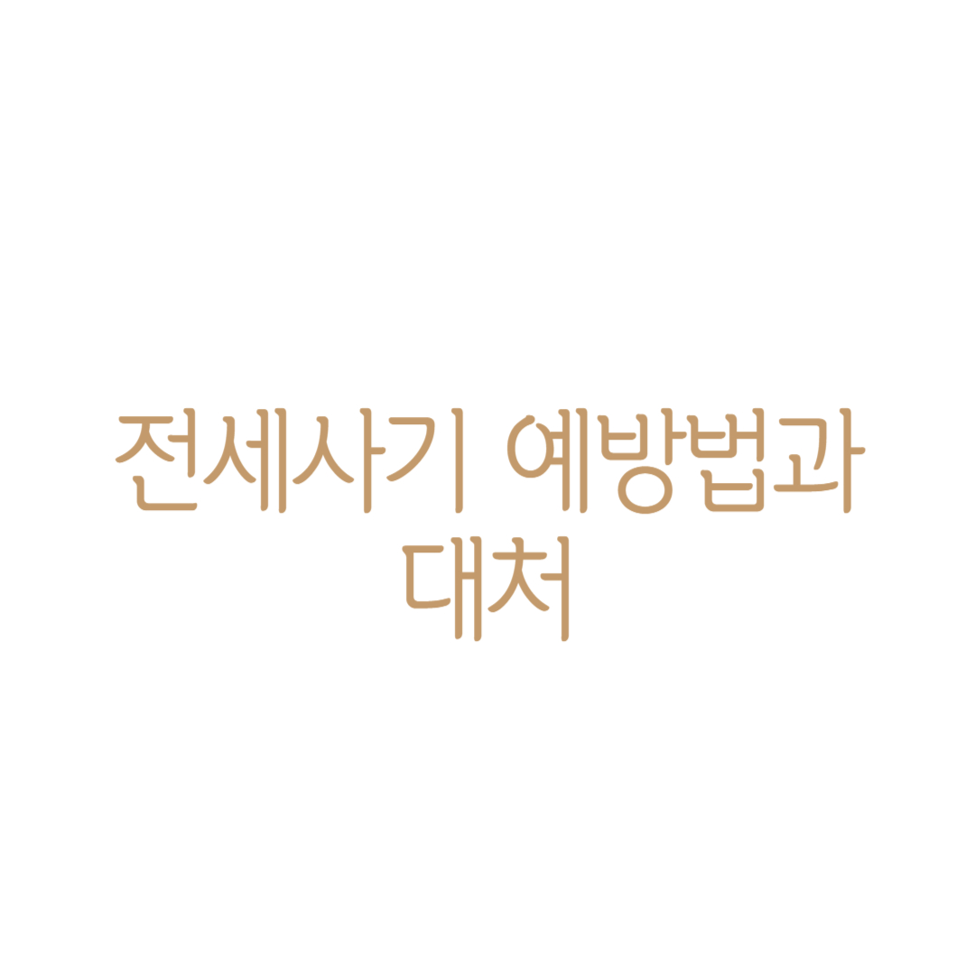 전세사기 예방법