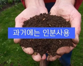 비료 주는 시기 기비 추비 요소 인산 가리 엽면시비_8