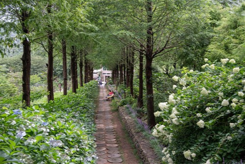 특색 있고 아름다운 민간 정원 30선 추천 여행 - 14. 고성 그레이스 정원