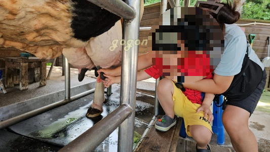 아그로랜드 소젖짜기