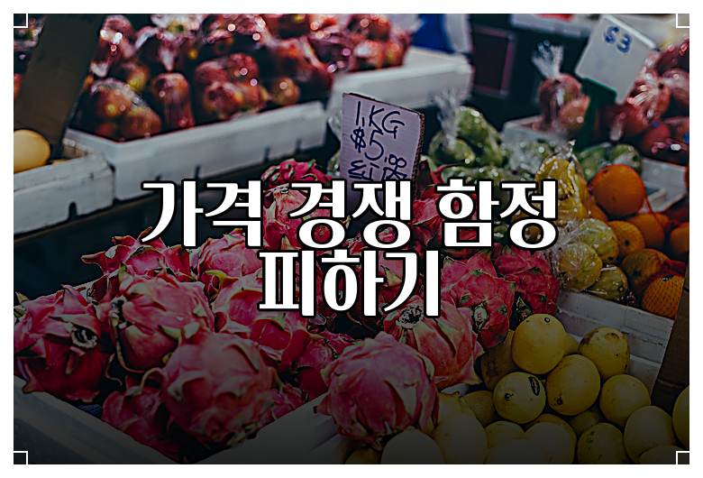 가격 경쟁 함정 피하기
