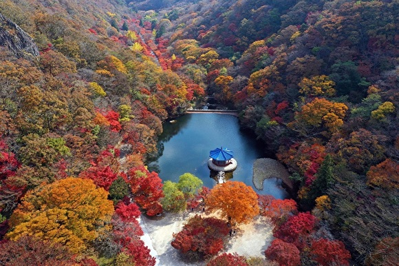 2024 내장산 단풍축제