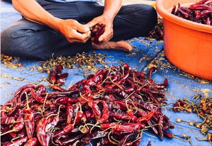 경기도 농민 기본소득 지원사업, 지원금 신청 방법, 조건