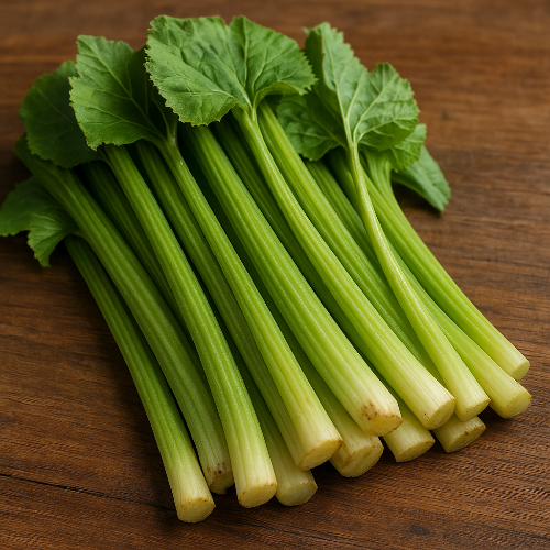 생 머위대 이미지