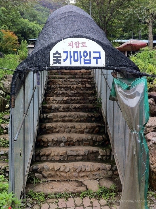 혼자는 못해 찜질방 위치 선우용녀 양평 전통 숯가마 찜질방