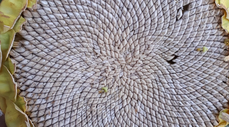 전선의 절연 종류