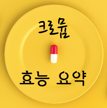 크로뮴 효능 요약
