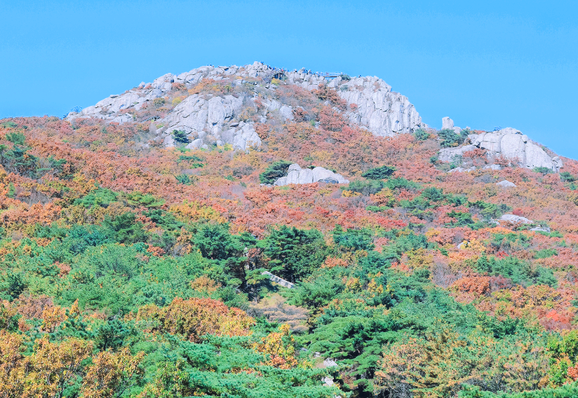 금정산