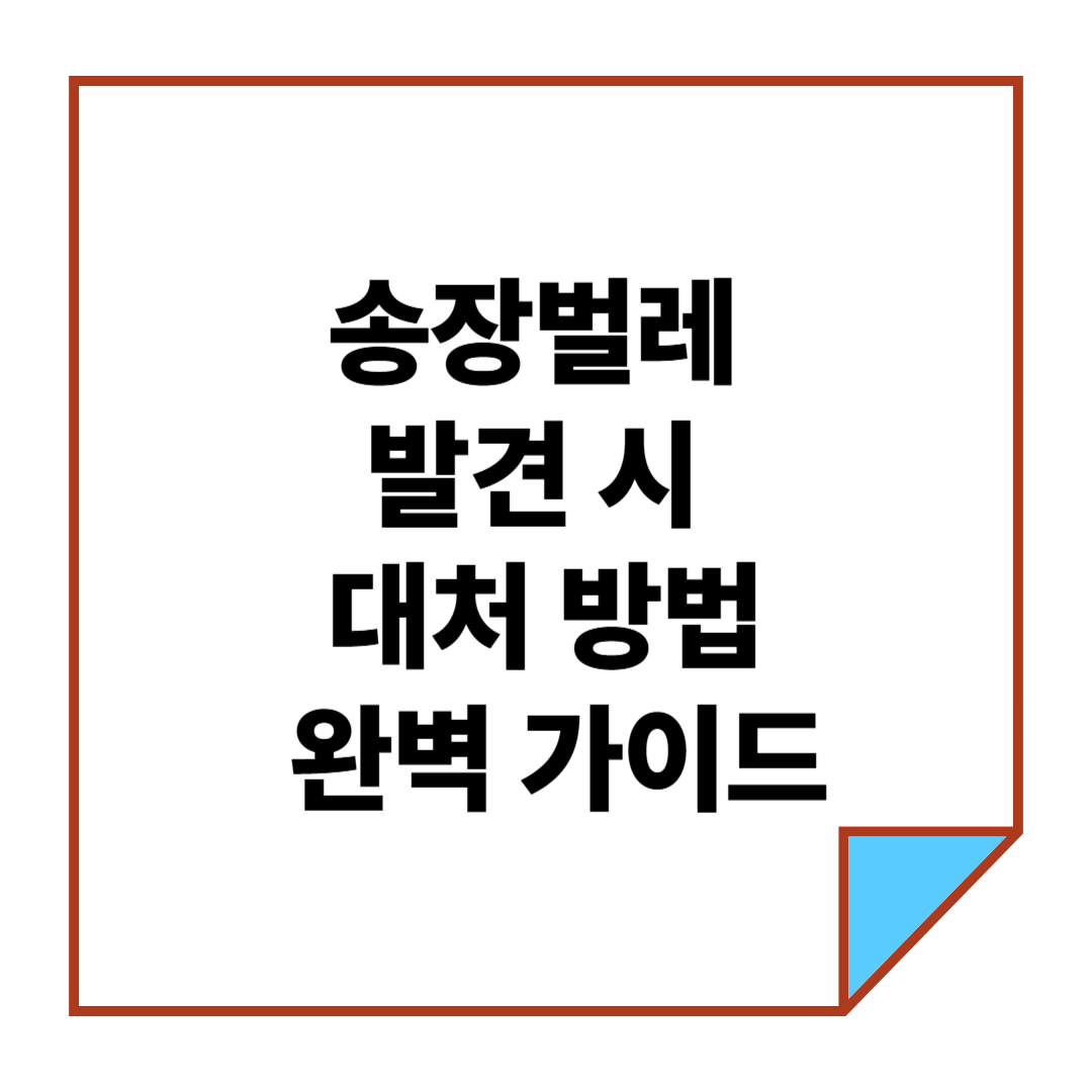 송장벌레 발견 시 대처 방법 완벽 가이드