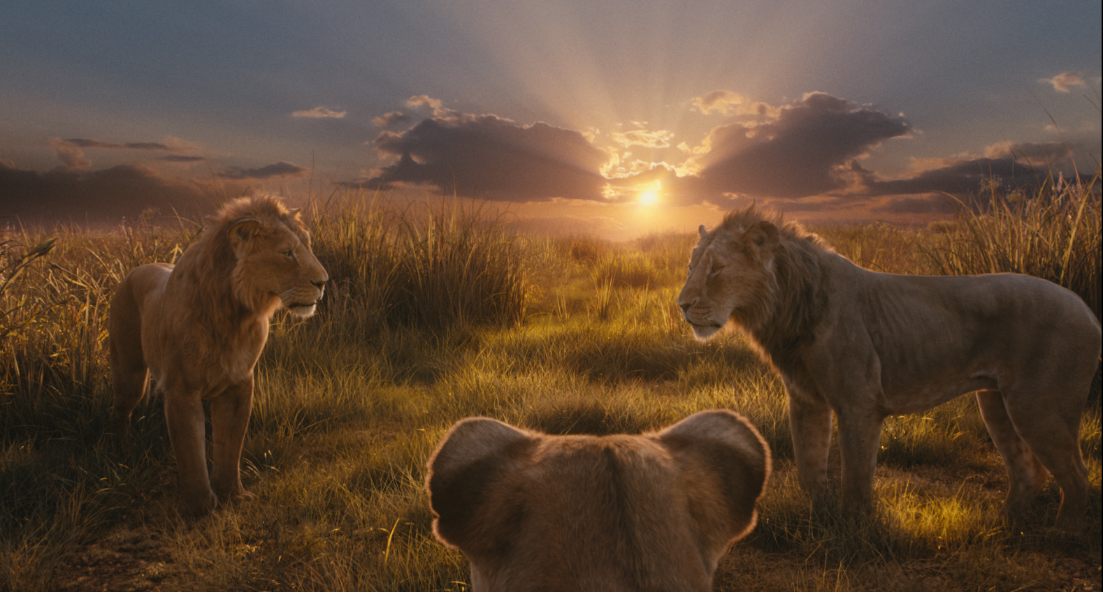 무파사 : 라이온 킹