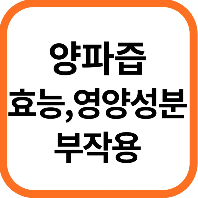 양파즙 효능 및 영양성분, 부작용