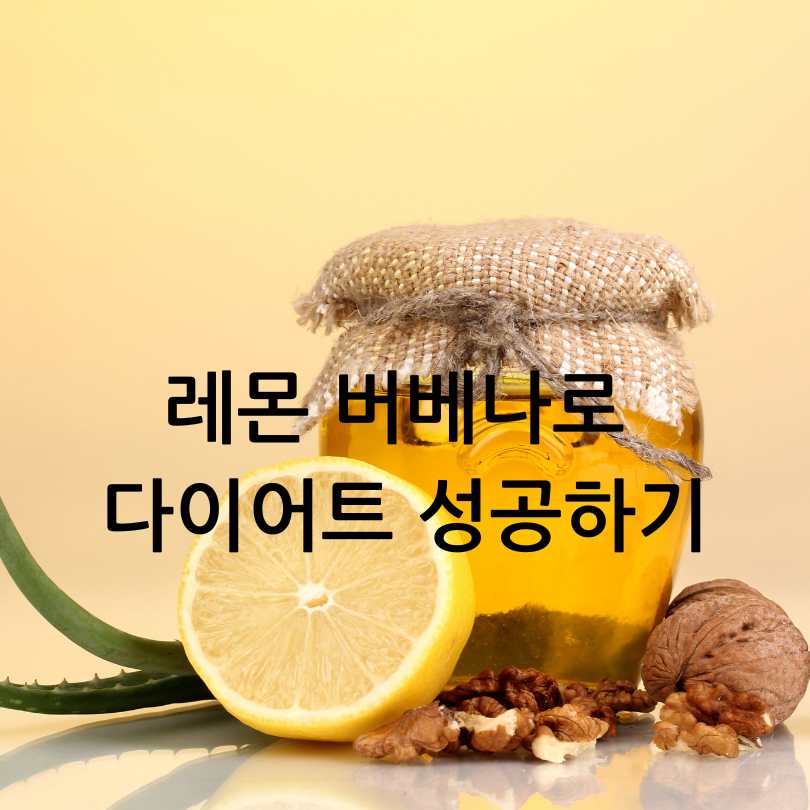 레몬버베나 다이어트