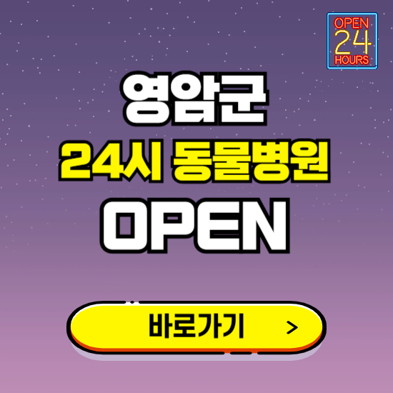 영암군 24시 동물병원 진료하는 곳 ❘ 설날 휴일 야간 심야 문여는곳 찾기 ❘ 응급진료