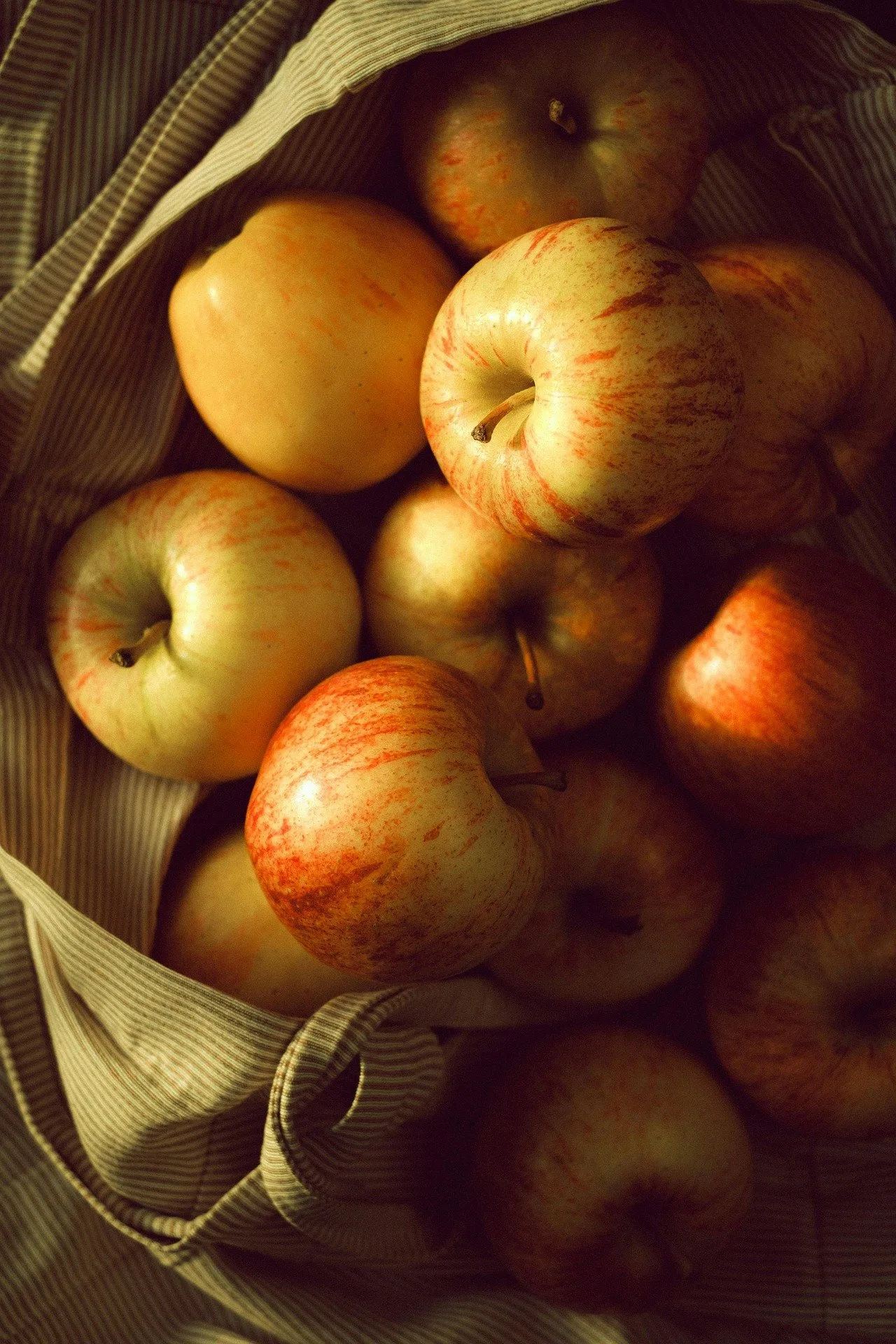 장뇌축이 정서 반응과 연결되는 이유: 불안 반응 경로의 구조