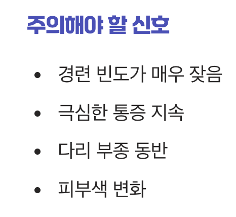 단순한 쥐가 아닐 수 있어요