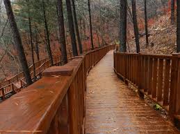 여름에 걷기 좋은 숲길 10