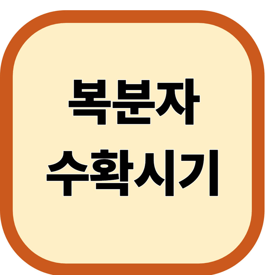 복분자 수확시기