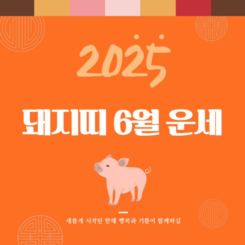 2025년 을사년 『돼지띠』 6월 운세 썸네일