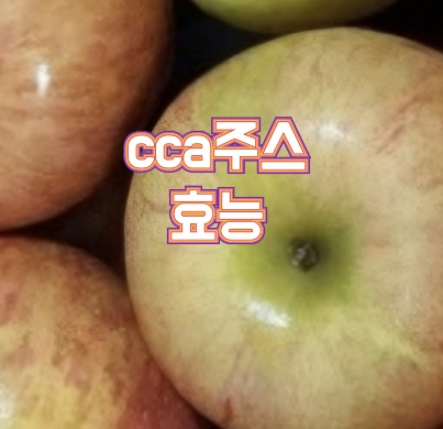 CCA주스-효능