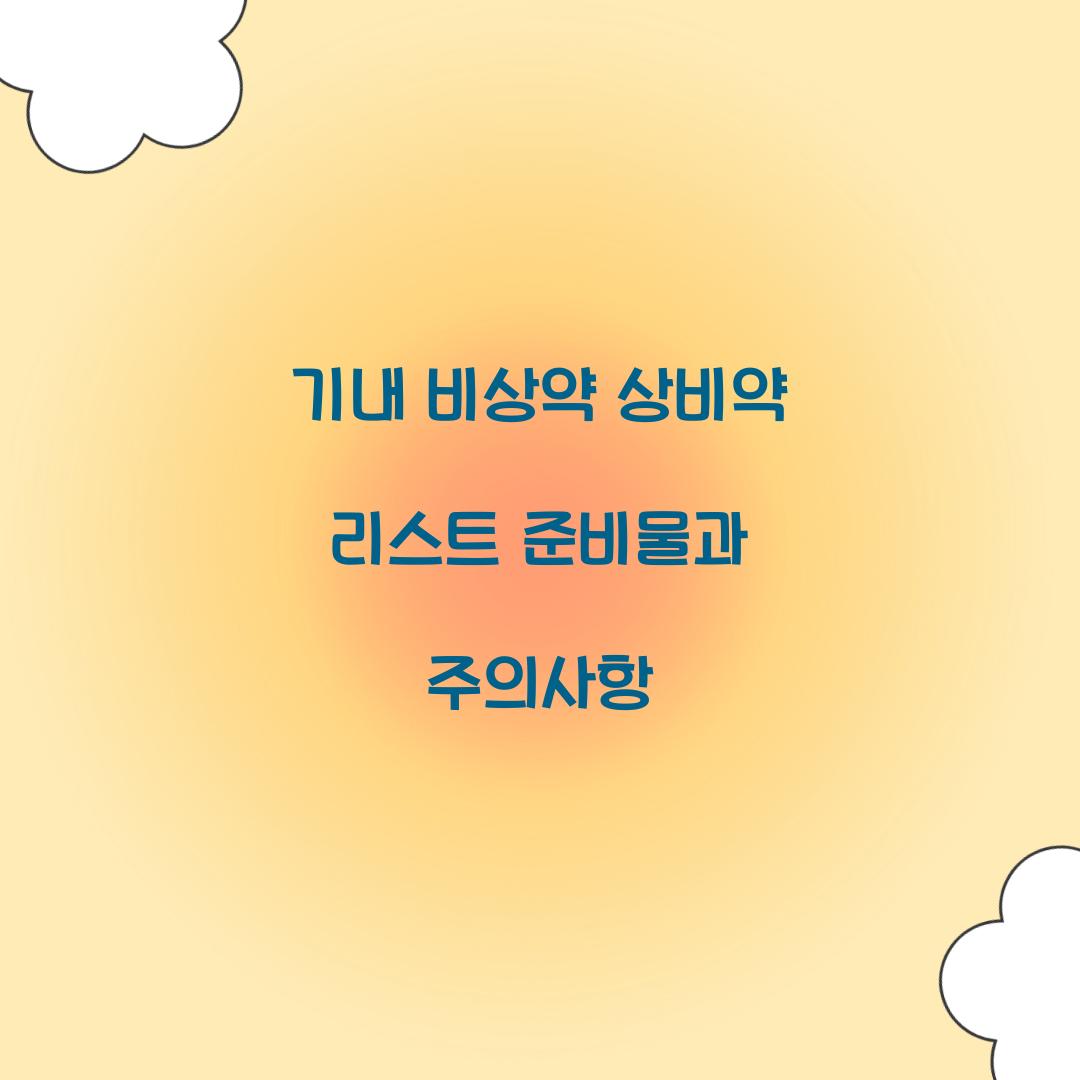 기내 비상약 상비약