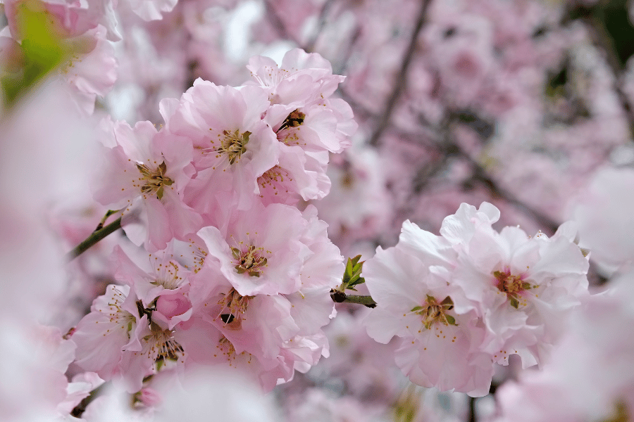 계절별 여행 포토존 추천