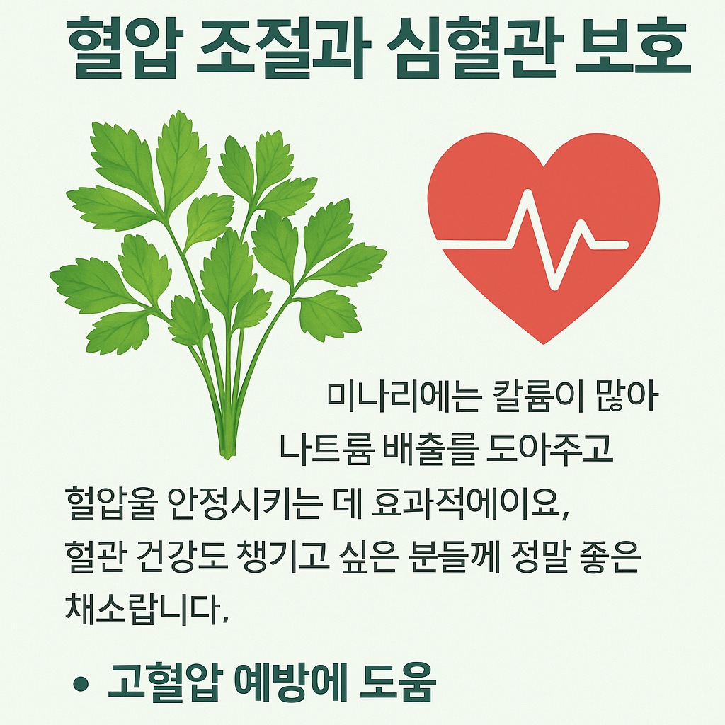 혈압 조절과 심혈관 보호