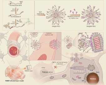 광견병 정밀 치료의 미래