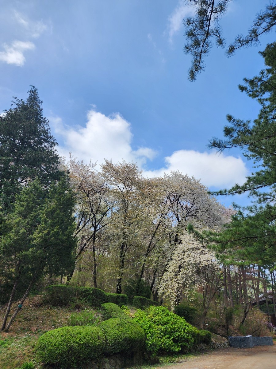 안양 수목원 이미지 사진