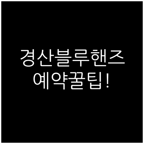 경산 현대자동차 차량 점검 블루핸즈 ..