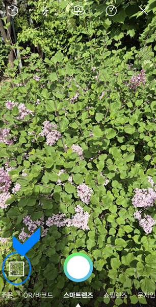 네이버 스마트 렌즈 왼쪽 사각형 클릭