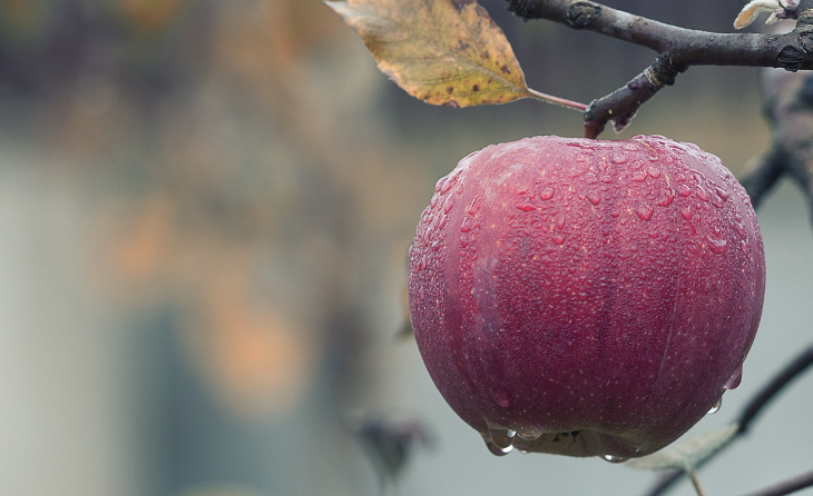 대상포진 초기증상 6가지