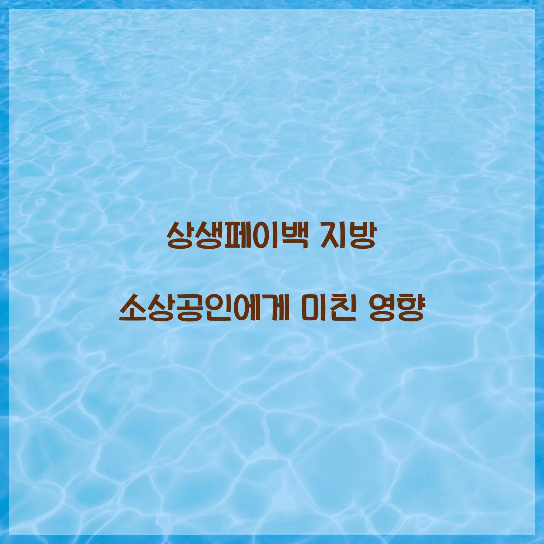 상생페이백 지방 소상공인에게 미친 영향