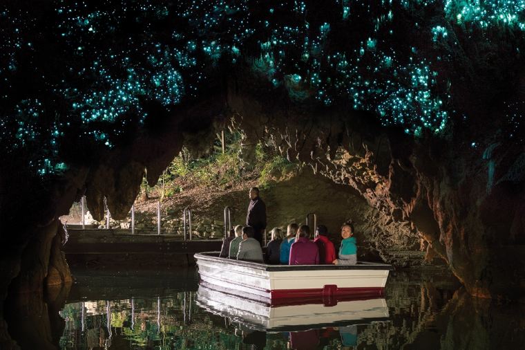 와이토모 반딧불 동굴 (Waitomo Glowworm Caves)