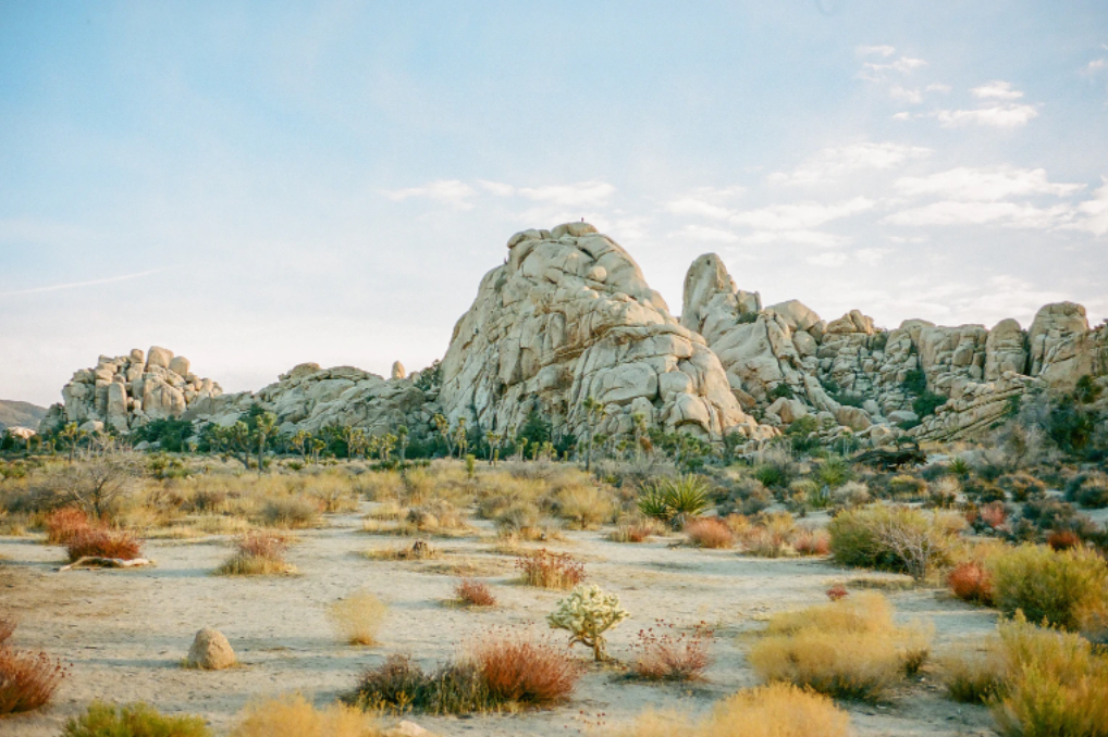 사막 지질학으로 이해하는 극한 환경이 지표를 재구성하는 장기적 관점을 설명하는 사진