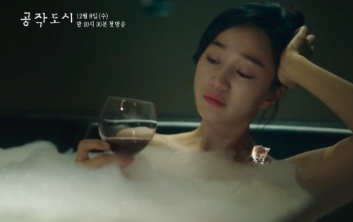 공작도시 수애