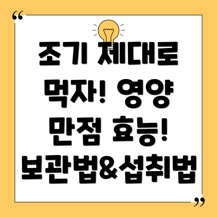 조기